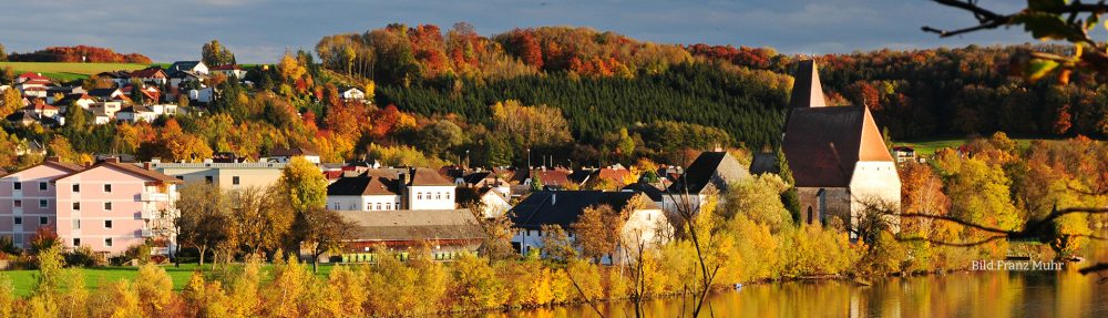 Siedlerverein Haidershofen